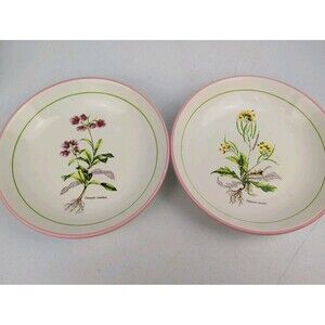 2pc La Primula 8.25in. Floral / Botanical Pasta Bowls Made In Italy (AS IS)